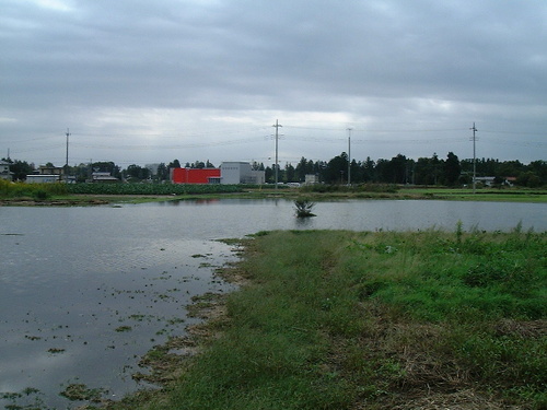 2004年秋の長雨。畑は湖水に。